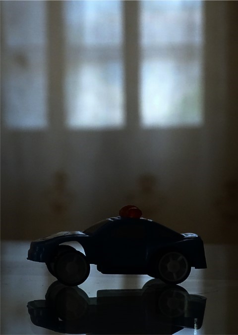 Dusk at the Table